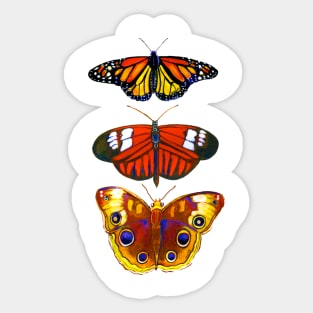 Watercolor Butterflies Sticker